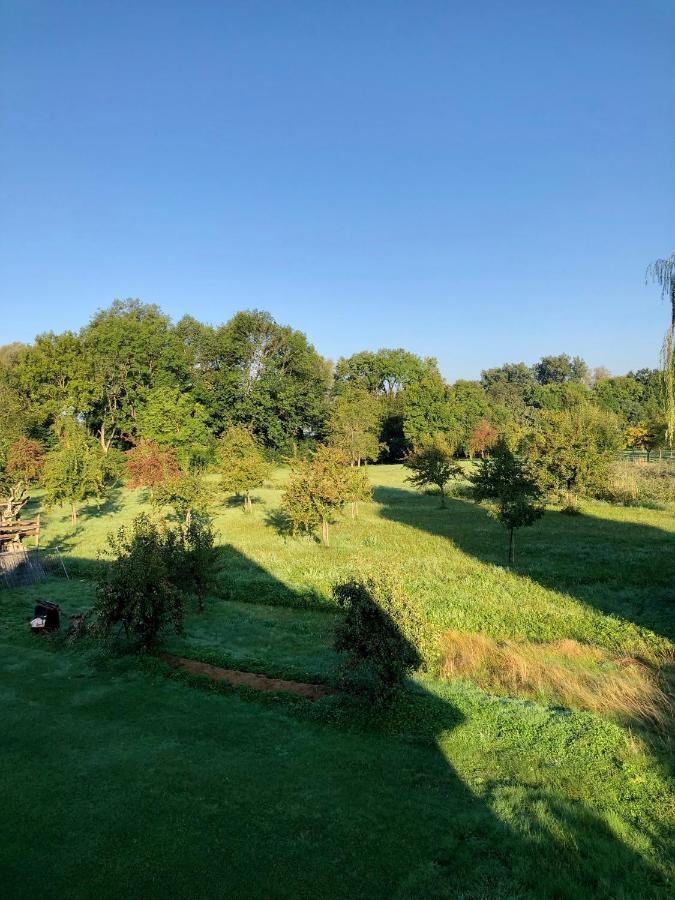 Apartment Felchen 1 - Silberweide - Mit Privatstrand Friedrichshafen Luaran gambar